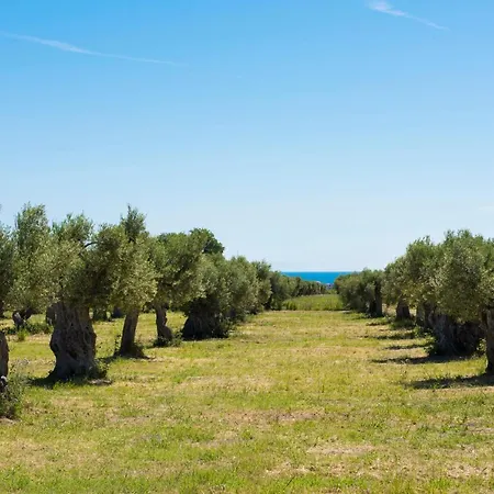 Dattilo Gospodarstwo agroturystyczne *