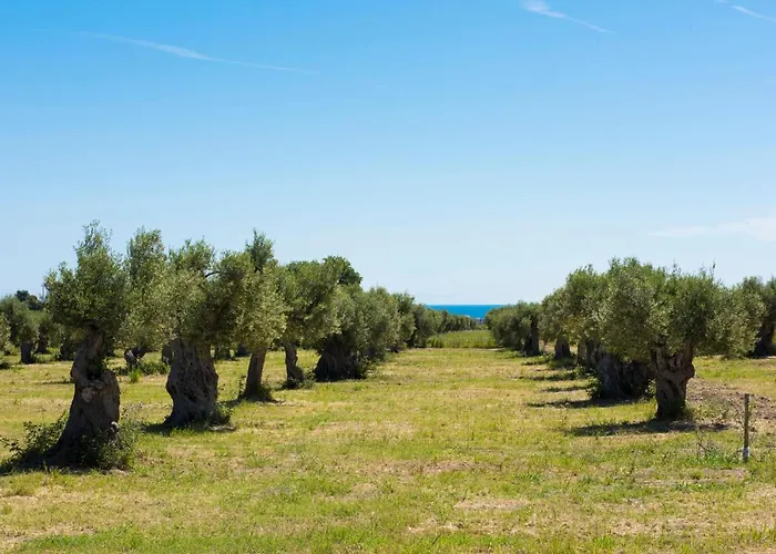 Dattilo Wine Relais Gospodarstwo agroturystyczne *